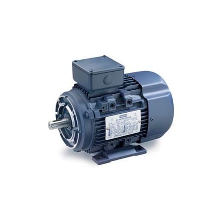 Leeson Leeson Motors Motor IEC Metric Motor-7.5HP, 230/460V, 1175/975RPM, IP55, B3/B14, 1.15 SF, 89.5 Eff. 193369.6